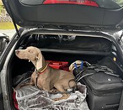 Nė&scaron;tumas Guodai nesutrukdė keliauti