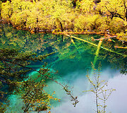 Dziudžaigou (Jiuzhaigou) nacionalinis parkas Kinijoje