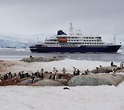 Antarktida