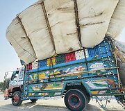 Pakistanas