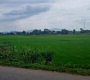 Vietnamo pakelės