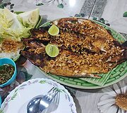 Jolitos įspūdžiai i&scaron; Tailando