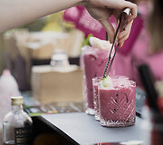 Vilniaus &Scaron;altibar&scaron;čių festivalis (&bdquo;Vilnius Pink Soup Fest&ldquo;)