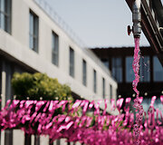 Vilniaus &Scaron;altibar&scaron;čių festivalis (&bdquo;Vilnius Pink Soup Fest&ldquo;)