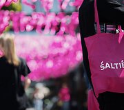 Vilniaus &Scaron;altibar&scaron;čių festivalis (&bdquo;Vilnius Pink Soup Fest&ldquo;)