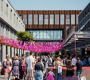 Vilniaus &Scaron;altibar&scaron;čių festivalis (&bdquo;Vilnius Pink Soup Fest&ldquo;)