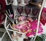 Vilniaus &Scaron;altibar&scaron;čių festivalis (&bdquo;Vilnius Pink Soup Fest&ldquo;)