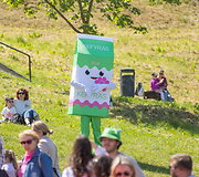 Vilniaus &Scaron;altibar&scaron;čių festivalis (&bdquo;Vilnius Pink Soup Fest&ldquo;)