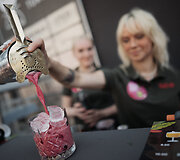 Vilniaus &Scaron;altibar&scaron;čių festivalis (&bdquo;Vilnius Pink Soup Fest&ldquo;)
