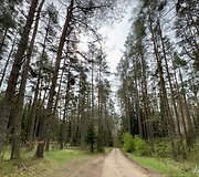 Svilės kra&scaron;tovaizdžio takas