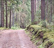 Svilės kra&scaron;tovaizdžio takas