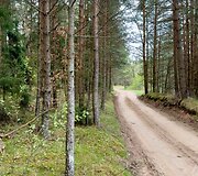 Svilės kra&scaron;tovaizdžio takas
