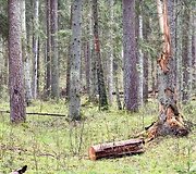 Svilės kra&scaron;tovaizdžio takas