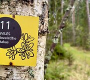Svilės kra&scaron;tovaizdžio takas
