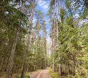 Svilės kra&scaron;tovaizdžio takas