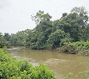 Lietuvių kelionė į Amazonės džiungles