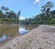 Lietuvių kelionė į Amazonės džiungles