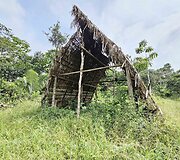 Lietuvių kelionė į Amazonės džiungles