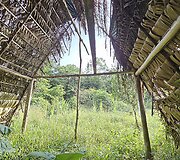 Lietuvių kelionė į Amazonės džiungles