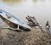 Lietuvių kelionė į Amazonės džiungles