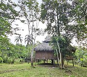 Lietuvių kelionė į Amazonės džiungles