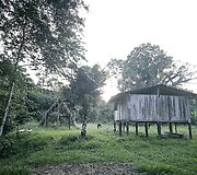 Lietuvių kelionė į Amazonės džiungles