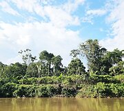 Lietuvių kelionė į Amazonės džiungles