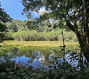 Lietuvių kelionė į Amazonės džiungles