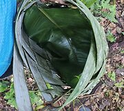 Lietuvių kelionė į Amazonės džiungles