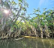 Lietuvių kelionė į Amazonės džiungles