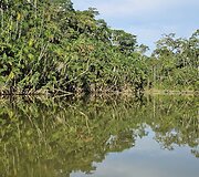Lietuvių kelionė į Amazonės džiungles