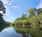 Lietuvių kelionė į Amazonės džiungles