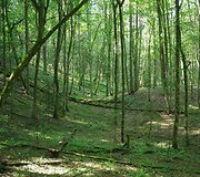 Rezervatas pavasarį
