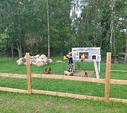 &bdquo;Alpakų slėnis&ldquo;