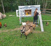 &bdquo;Alpakų slėnis&ldquo;