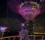 Singapūras
