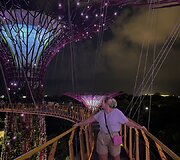 Singapūras