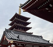 Japonija