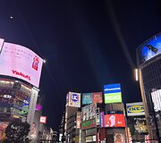 Japonija