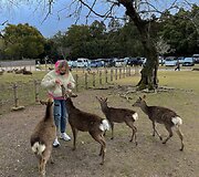 Japonija