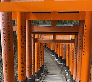 Japonija