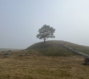 Kelias į Raginėnų piliakalnį