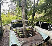Automobilių kapinės &Scaron;vedijoje