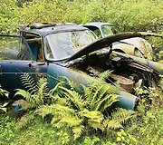 Automobilių kapinės &Scaron;vedijoje