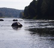 Verk&scaron;ionių vestuvių akmenys su pauk&scaron;čiais