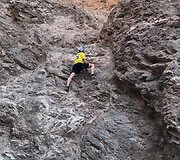 Andriaus Anto&scaron;čako gyvenimas JAV