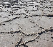  Andriaus Anto&scaron;čako organizuojamos kelionės po JAV