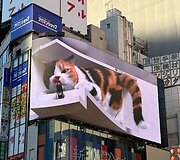 Japonija