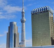 Žilvino Žebrausko įspūdžiai i&scaron; Japonijos