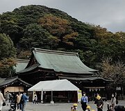 Žilvino Žebrausko įspūdžiai i&scaron; Japonijos